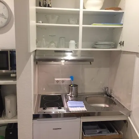 海德堡柏丁公寓 公寓式酒店 *